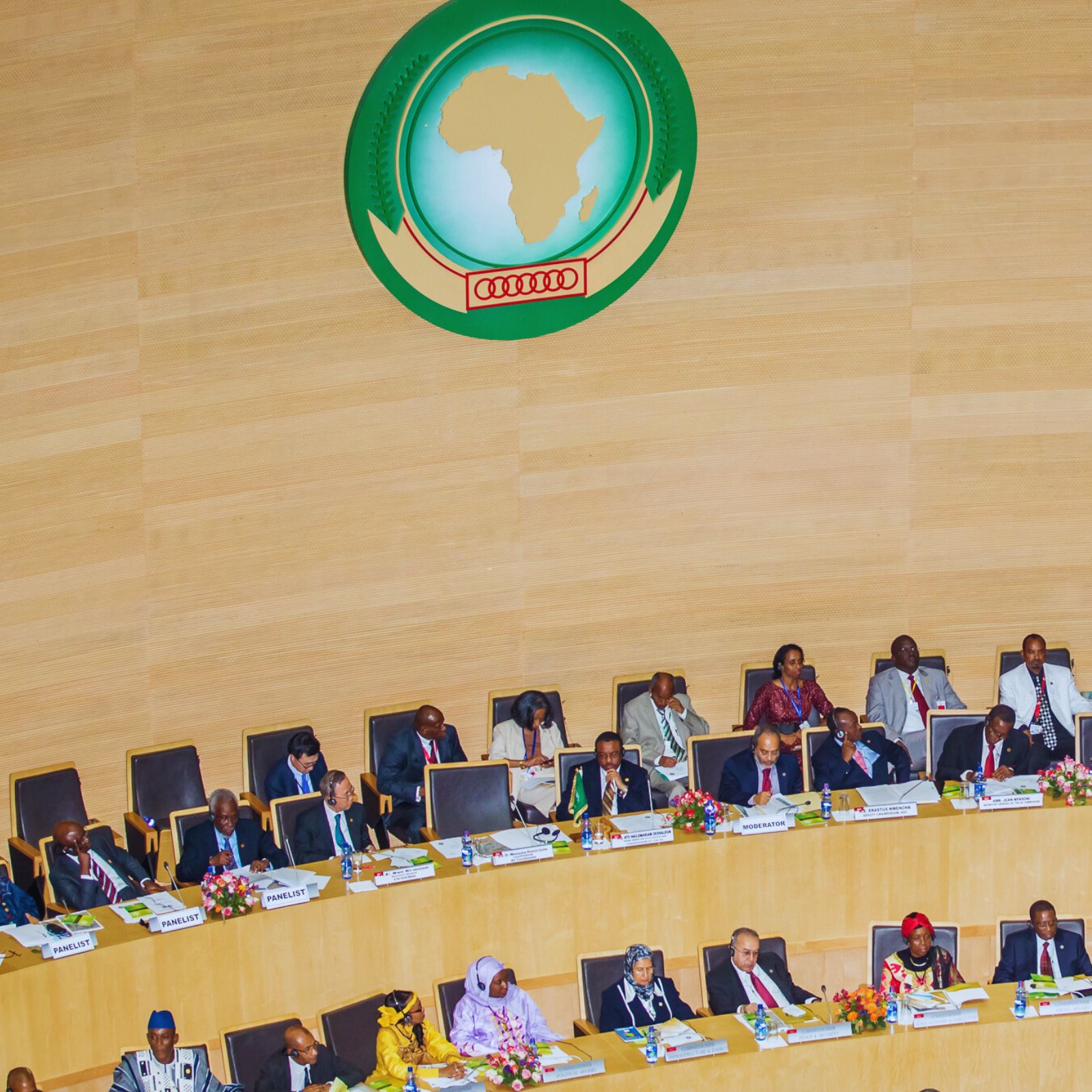 The African Union (AU)