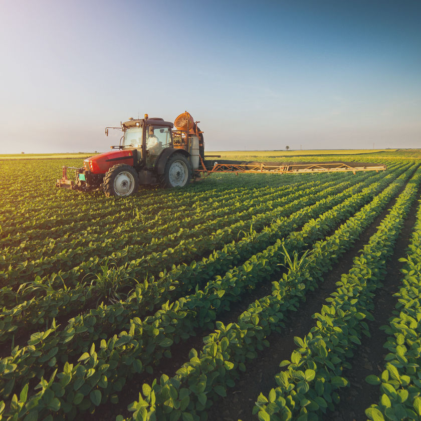 Tractor On Soybean Field 