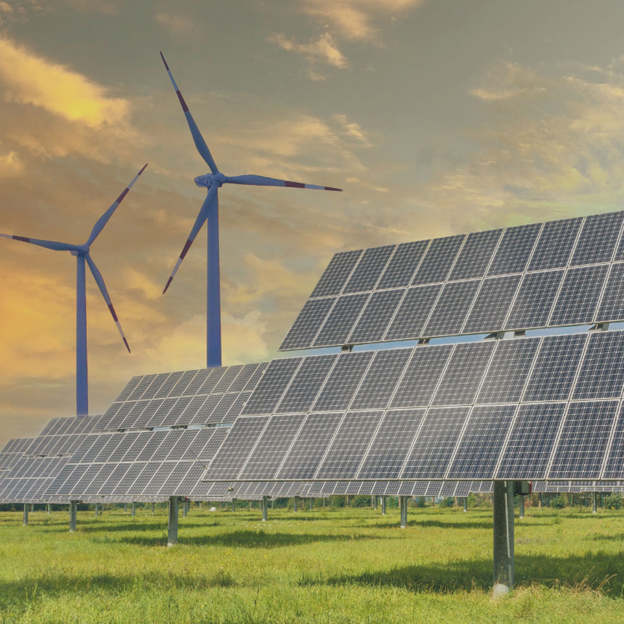 Solar photovoltaic panels and wind turbines