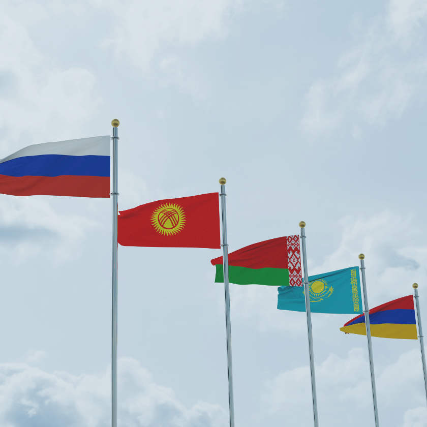 The Eurasian Economic Union