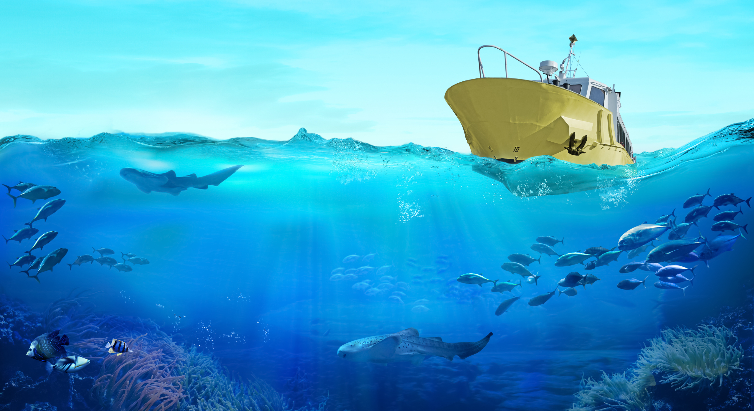 Fishing boat in the sea. Large school of fish in the ocean. Underwater world with marine animals.