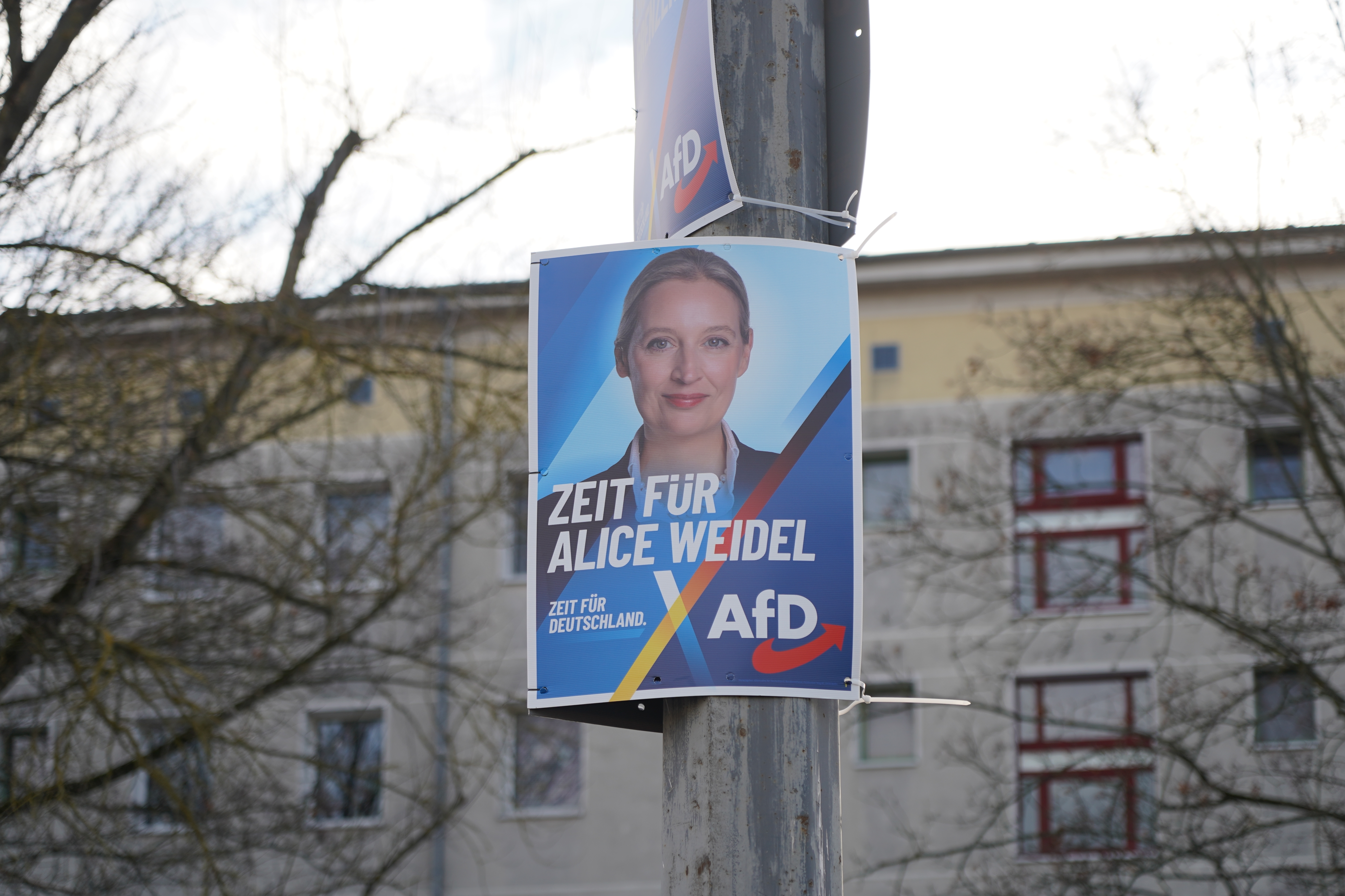 Potsdam, Allemagne – 12 janvier 2025 : Affiche électorale de l’AfD pour l’élection fédérale allemande de 2025 montrant la candidate principale Alice Weidel © Achim Wagner/Shutterstock.com