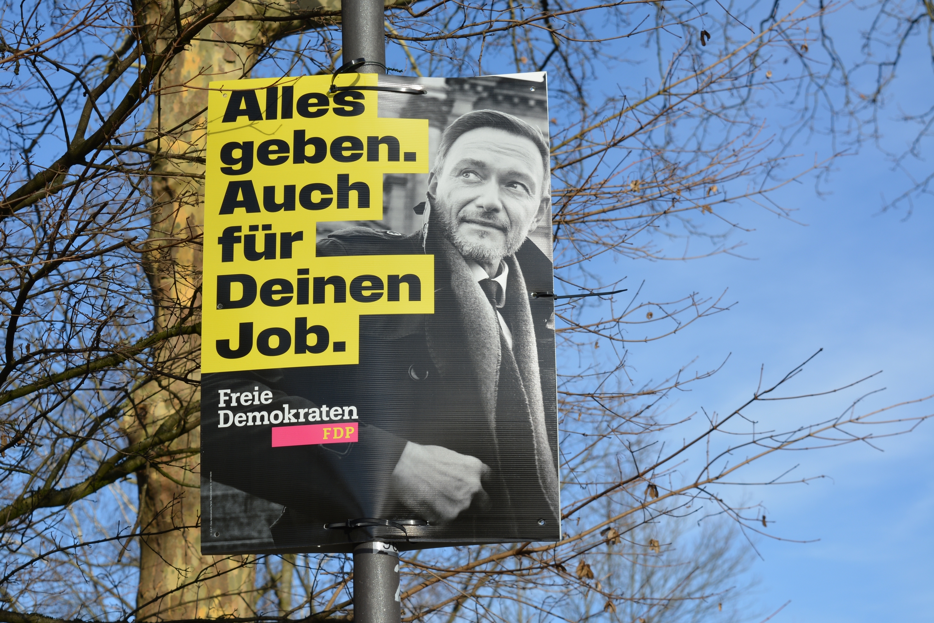 Heidelberg, Allemagne – 25 janvier 2025 : Affiche pour le parti politique libéral FDP lors des élections fédérales 2025