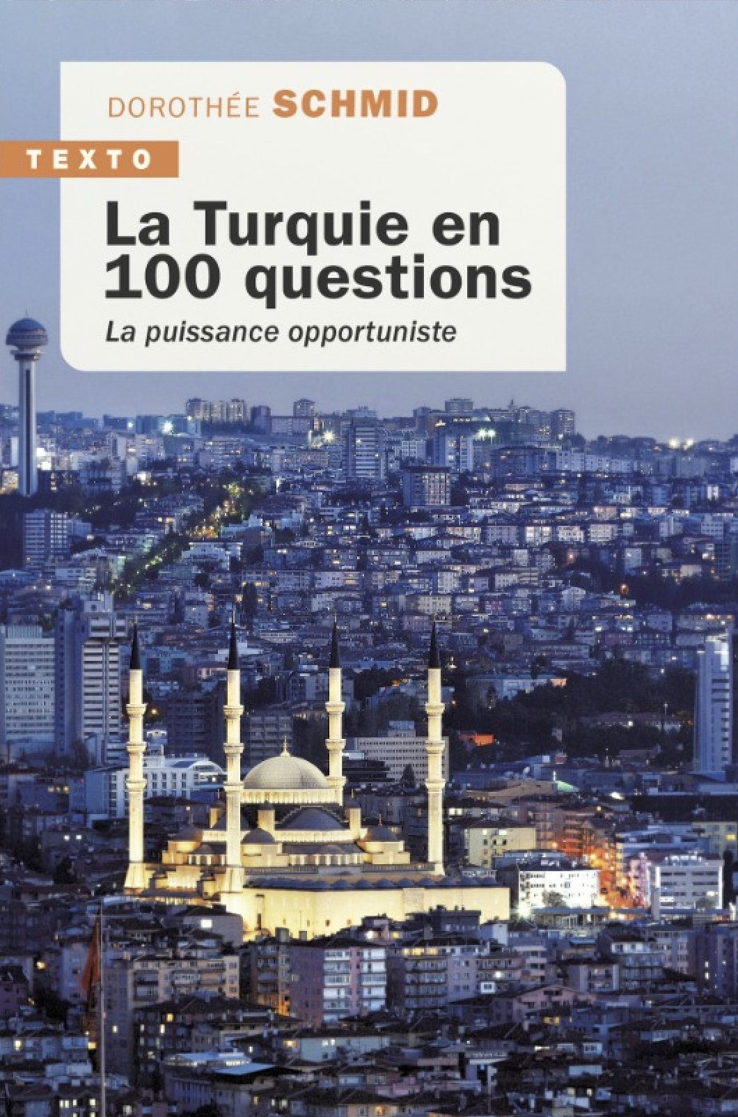 Couv - Turquie 100 questions - 2023 - Dorothée Schmid