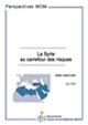 La Syrie au carrefour des risques