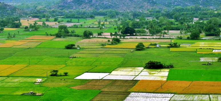 Arable Land in India