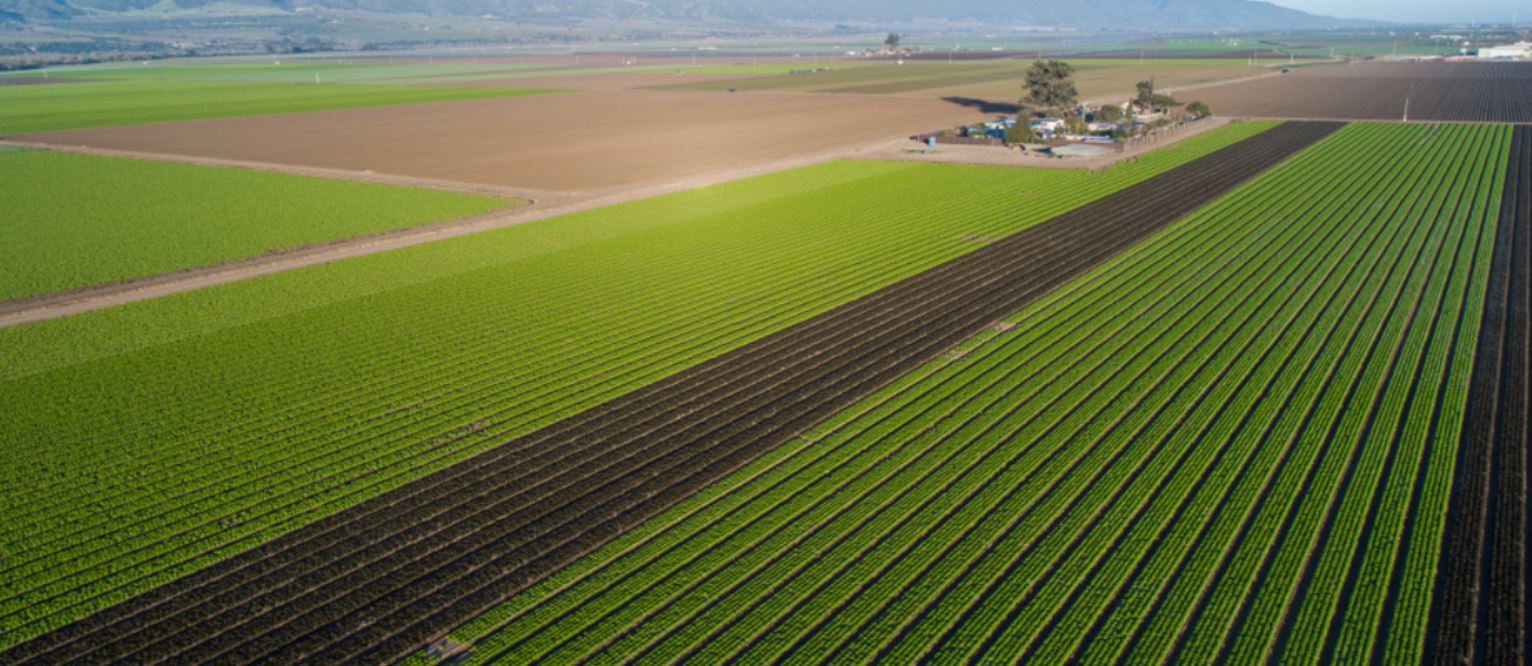 Vue aérienne des champs agricoles en Californie, vallée des Salinas