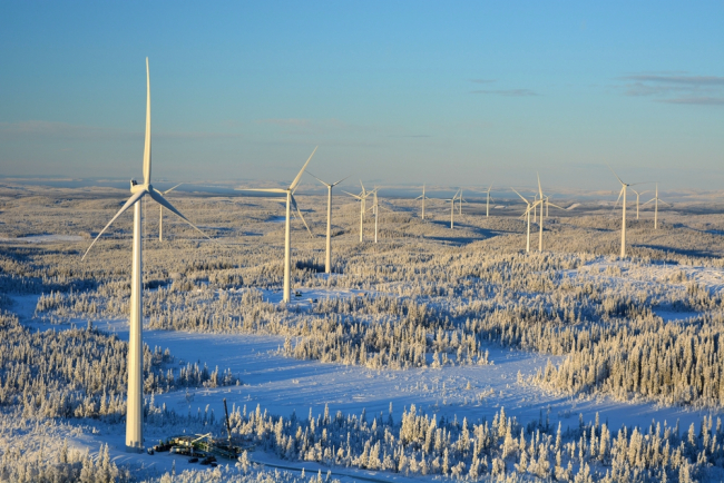 Bjorkhojden wind farm in the Swedish forest - Shutterstock/Mrwhiterat