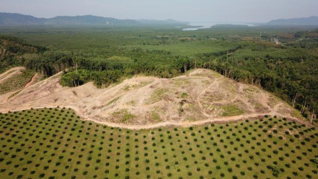 Credit : Rich Carey/Shutterstock